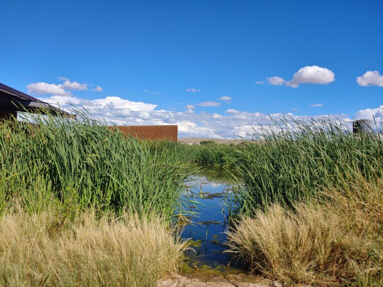 Photo Credit: Katie Dix